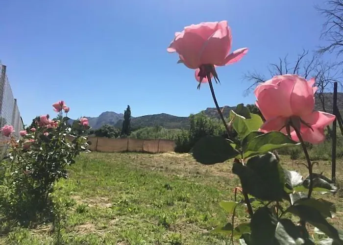 La Maestra Сasa de vacaciones *